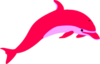 Pink Dolphin Image